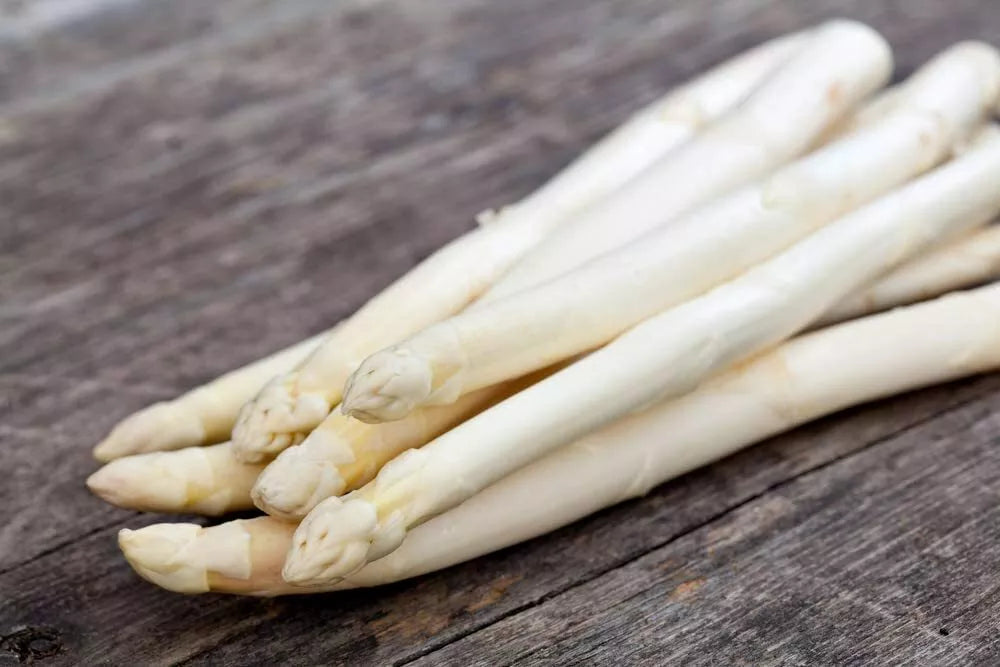 White Asparagus Seeds 100 Count for Planting, Rare Gourmet Vegetable, Asparagus officinalis