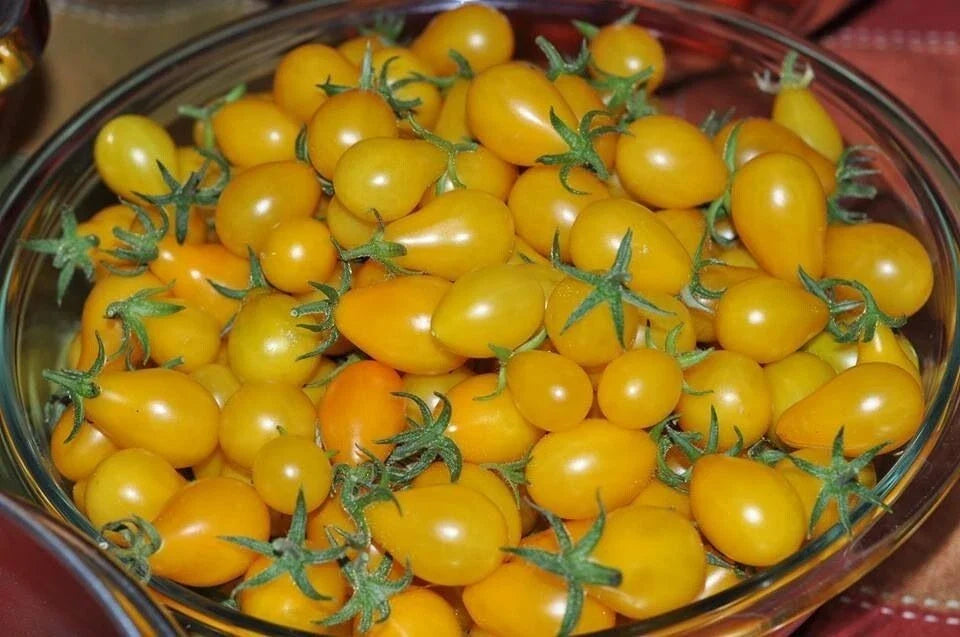 Yellow Pear Tomato Seeds - Heirloom Non-GMO Solanum lycopersicum, 60+ Seeds for Gardening