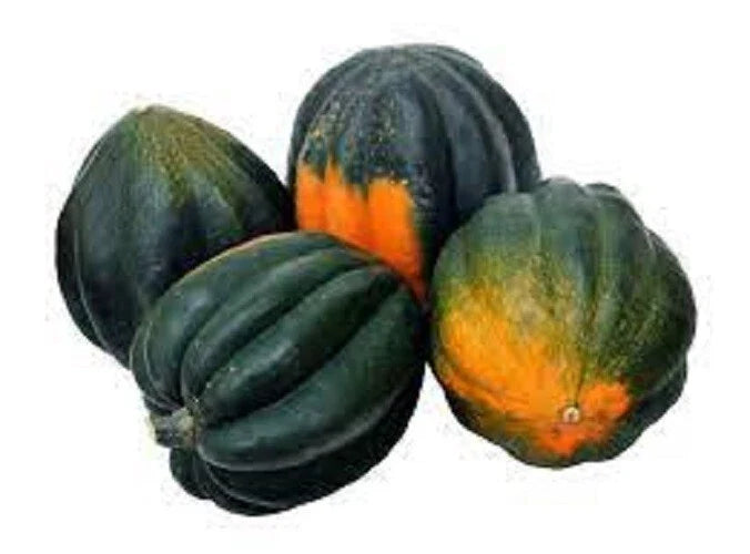 Premium Heirloom Seeds - King Bush Acorn Winter Squash - Prolific Cucurbita pepo Variety for Small Gardens