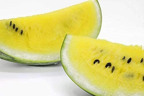 Dwarf Yellow Watermelon Seeds - 25 Pack - Petite Citrullus lanatus for Small Gardens & Containers