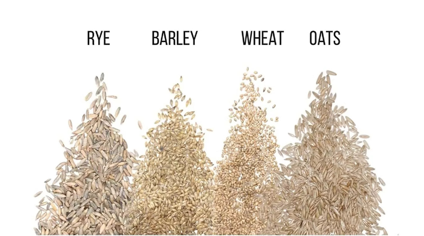 Cat Grass Seeds 4-Way Blend for Cats, Organic Non-GMO, Rye, Wheat, Oats, Barley, Indoor Garden