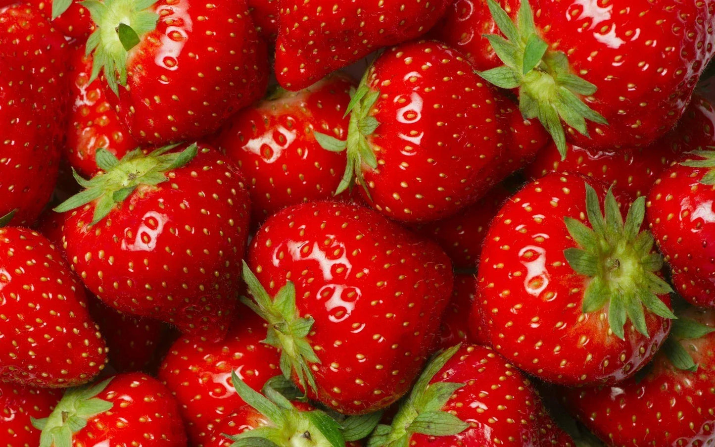 Jewel Strawberry Plants - 5 Root Clusters - Junebearing Fragaria × ananassa for Zones 4-8