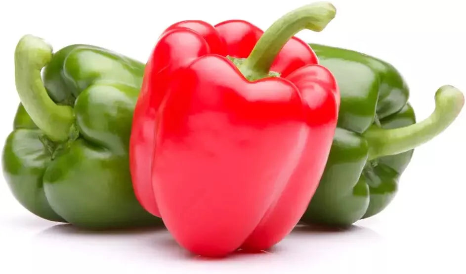 30 Ozark Giant Sweet Bell Pepper Seeds - Large, Delicious Capsicum annuum for Home Garden, Patio, or Raised Beds