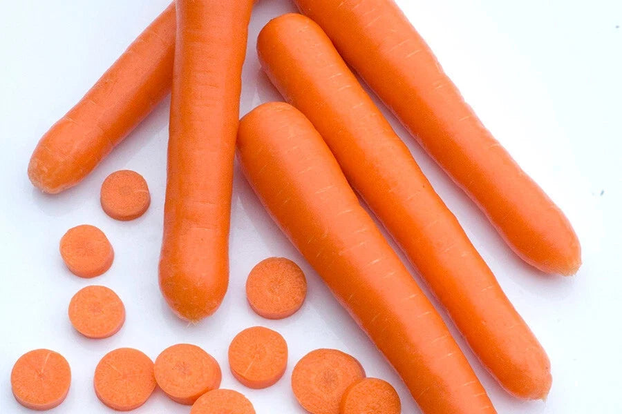 Bolero Carrot Seeds - 1000+ Non-GMO Daucus carota for Garden Planting, Heirloom, Full Sun, Bountiful Harvest