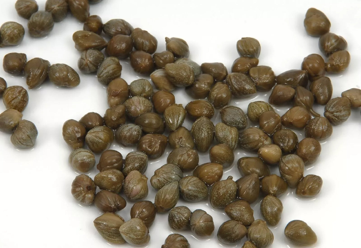 Caper Bush Seeds – 25+ Capparis Spinosa Edible Perennial Shrub for Garden & Culinary Use