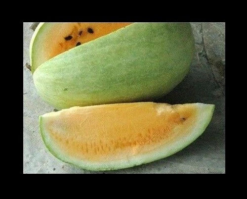 Heirloom Watermelon Seeds - Missouri Yellow Flesh - Rare Citrullus lanatus Variety - Pack of 7 Seeds