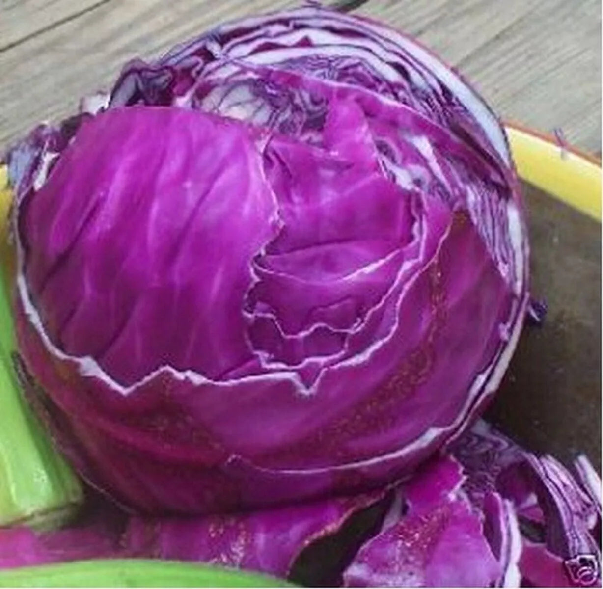 Red Acre Cabbage Seeds - 1000+ Heirloom Non-GMO Brassica oleracea