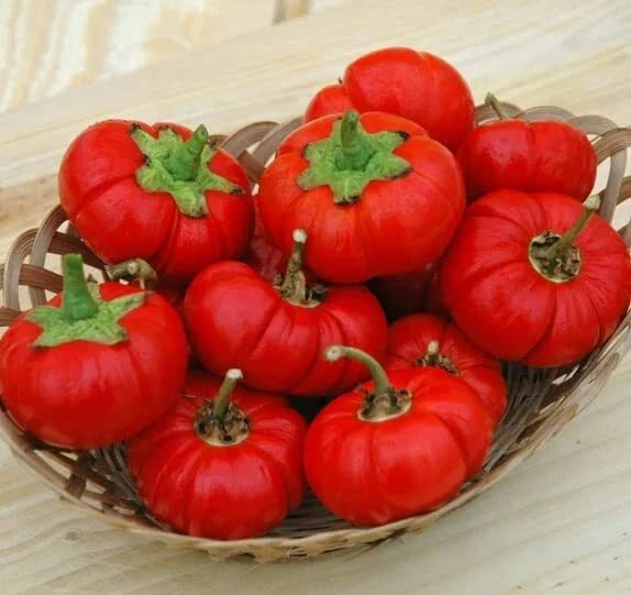 Pepper Pumpkin Seeds for Planting - 5 Rare Capsicum annuum Pumpkin-Shaped Peppers Seed Pack