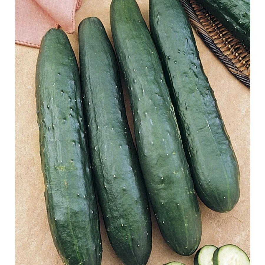 Cucumber Seeds - Tasty Green Variety - Non-GMO Cucumis sativus for Home Gardening, Salad & Pickling