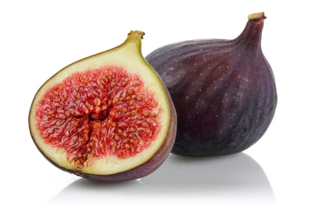Osborne Prolific Fig Seeds - 100+ Count, Ficus carica, Garden Planting, Fruit Seeds, Easy to Grow, Suitable for Containers