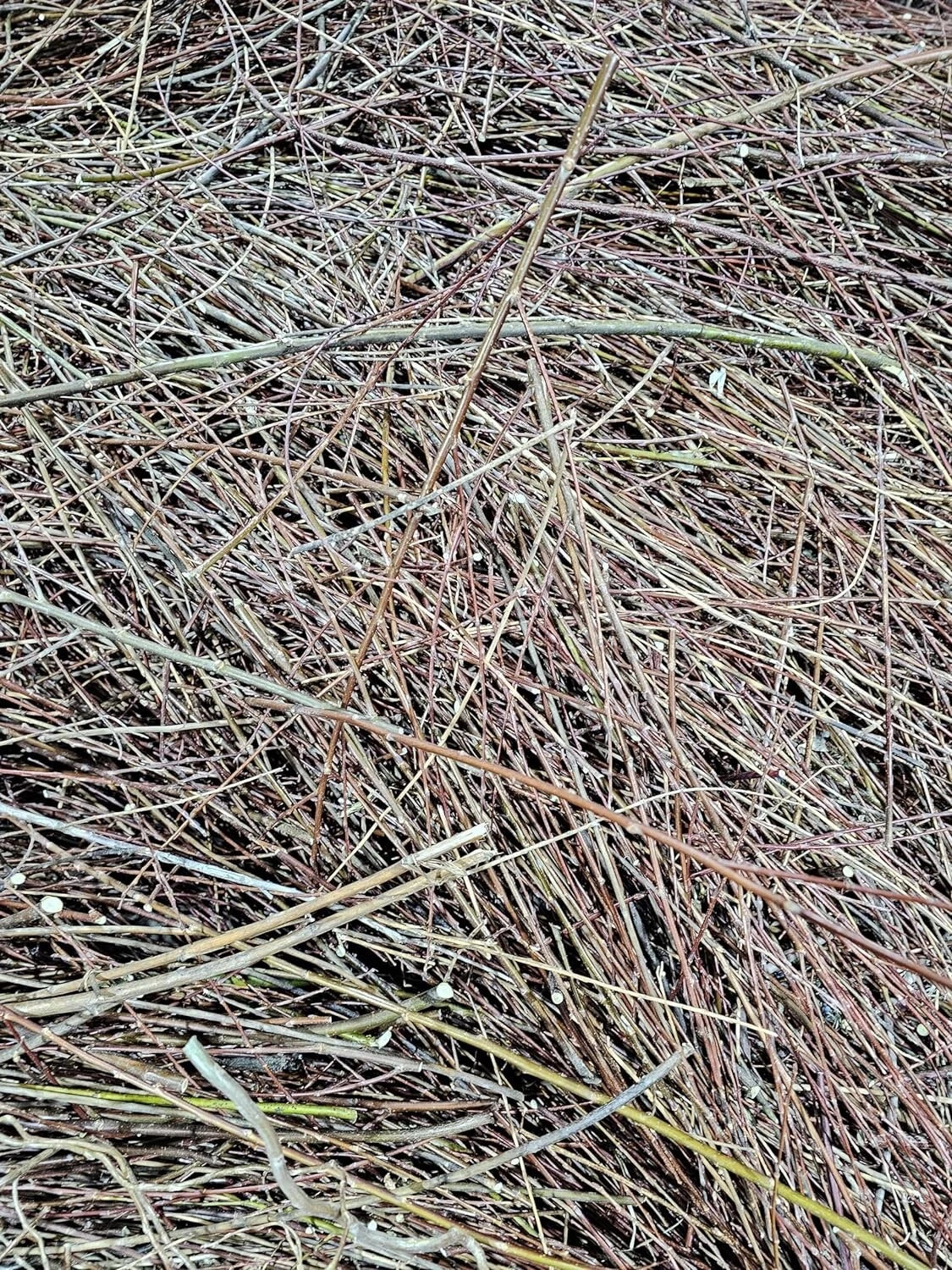 Natural Willow Tree Straw Mulch & Animal Bedding | 100% Organic Salix spp. Eco-Friendly Plant Material
