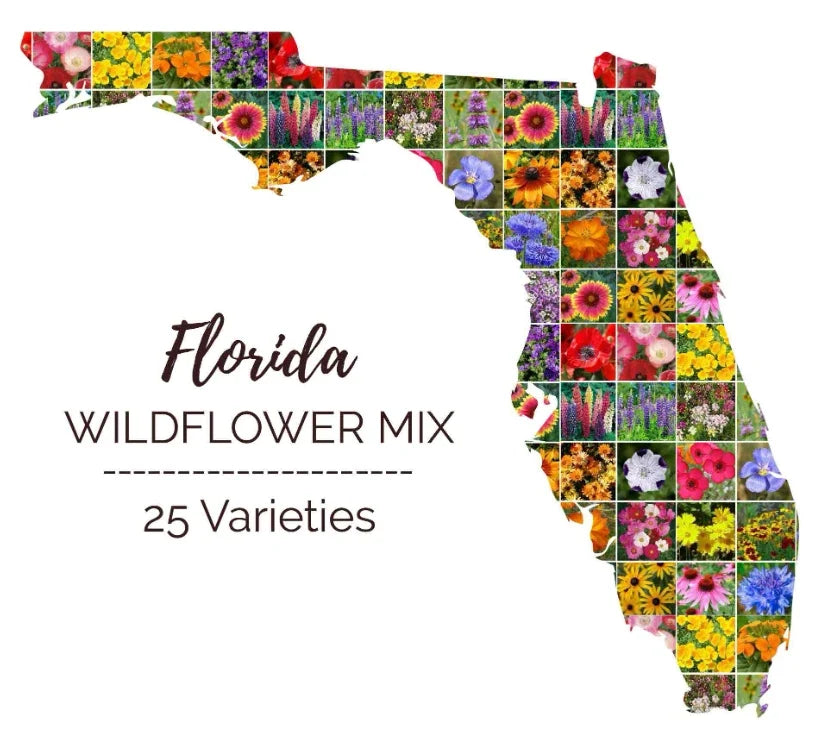 Wildflower Seed Mix Florida - 1000 Non-GMO Seeds with 25 Perennial & Annual Varieties for Pollinator Gardens