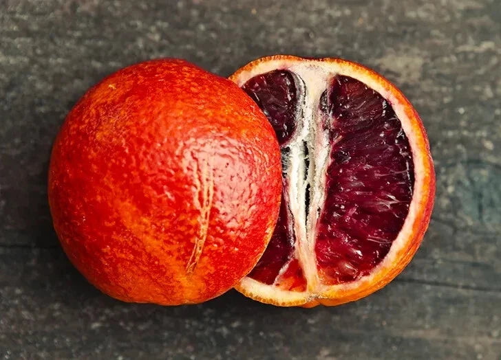 Blood Orange Seeds Pack – Citrus sinensis Fruit Tree for Home Garden – USA Grown, Non-GMO, Fast Shipping