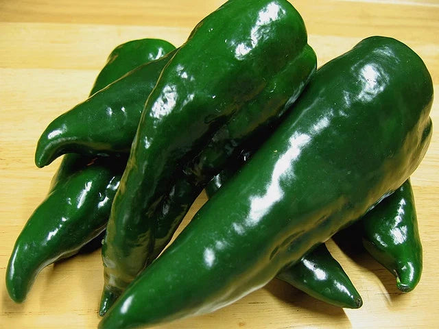Poblano Pepper Seeds – Capsicum annuum – Mild, Roasting & Stuffing – Pack of 25 Non-GMO Seeds for Home Garden & Container Planting