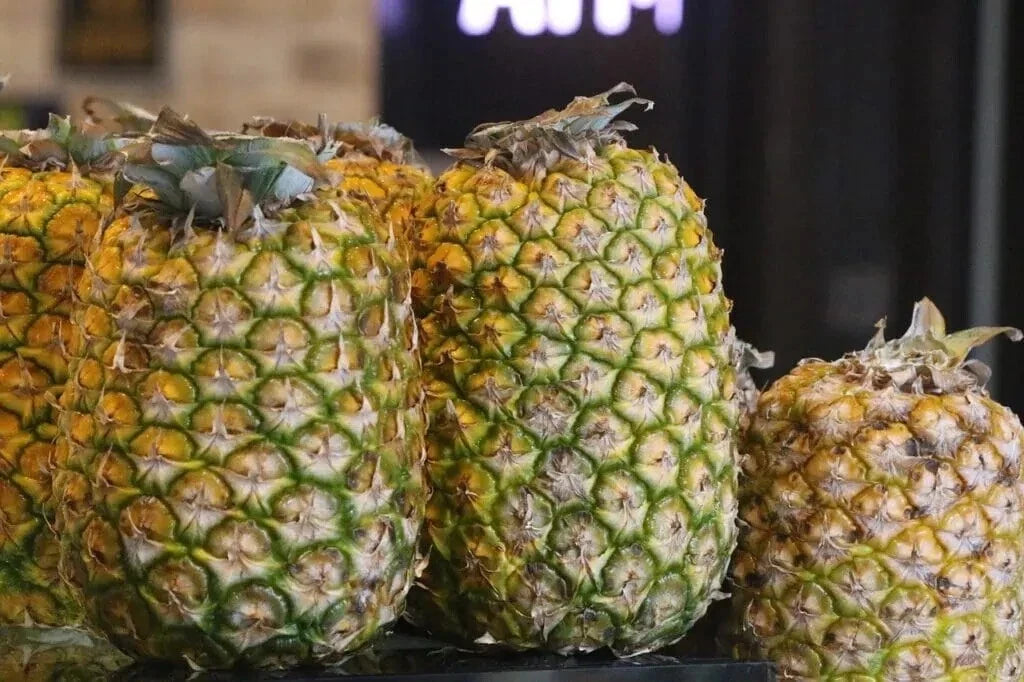 Champaka Pineapple Seeds – 15+ Ananas comosus Tropical Fruit Garden Planting Pack