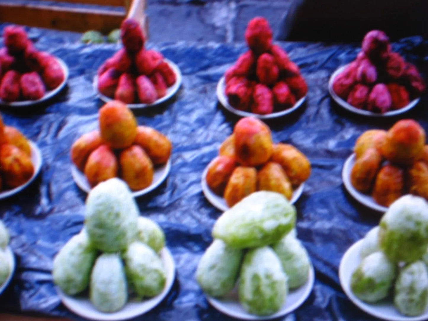Edible Cactus Seeds Pack | Opuntia spp. | Prickly Pear Fruit & Pads | Gardening & Culinary Use