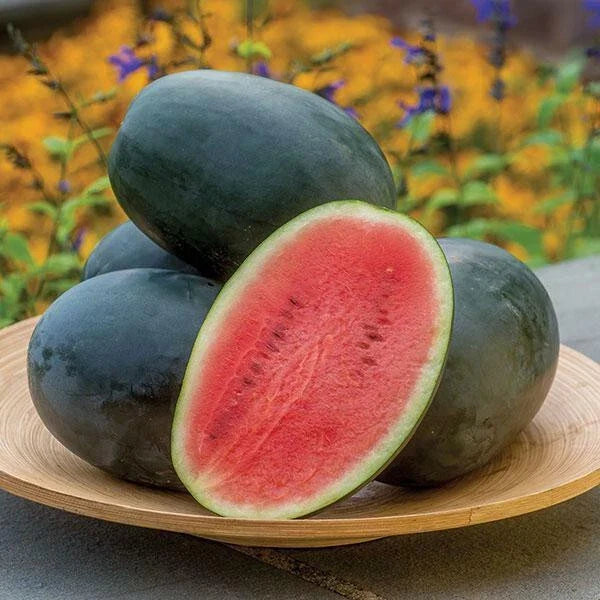 Little Darling Watermelon Seeds - Citrullus lanatus, 50 Pack, Garden Planting, Sweet Juicy Fruit, USA Grown