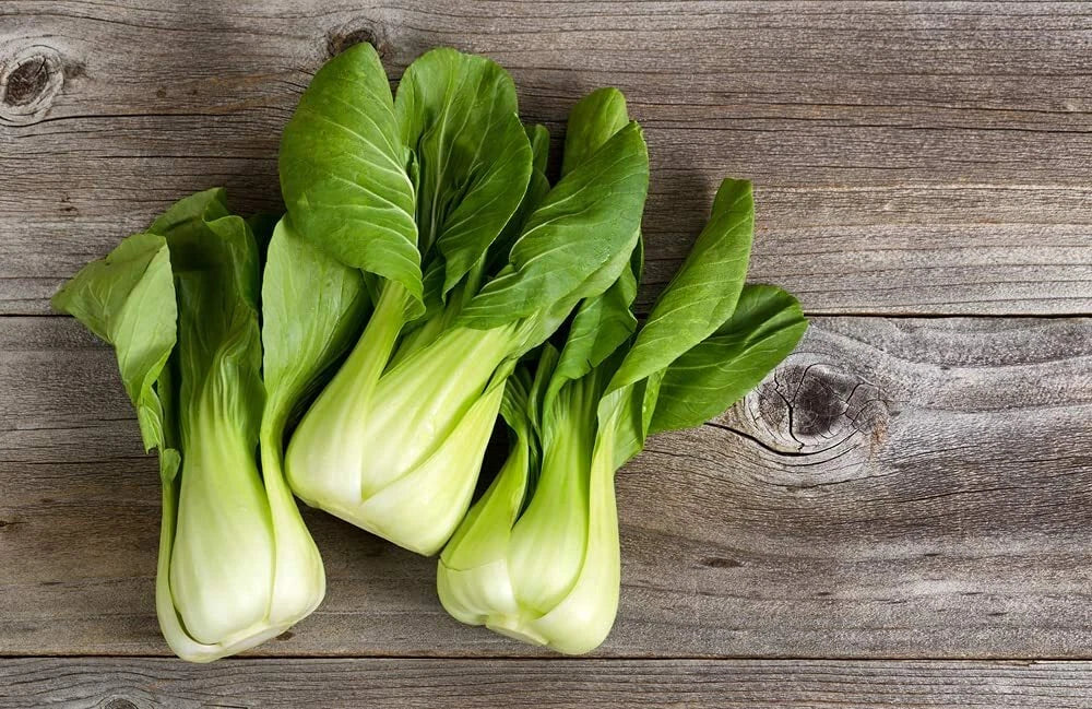 Bok Choy Seeds 100 Pack - Chinese Cabbage Brassica rapa subsp. chinensis for Home Gardening