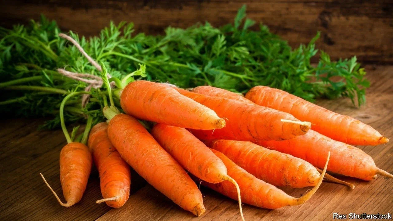 Carrot Seeds - 50 Pack - Orange Heirloom Daucus carota Vegetable Seeds