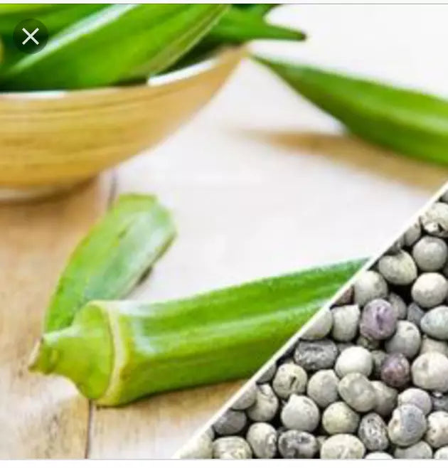 Texas Longhorn Okra Seeds - Heirloom Abelmoschus esculentus - 50+ or 100+ Pack