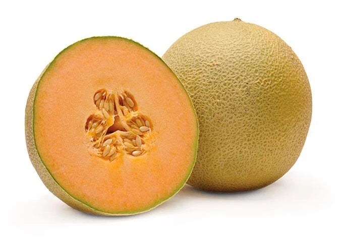 Cantaloupe Melon Seeds - 5 Pack, Sweet Variety, Cucumis melo, Juicy Fruits, Home Garden, Easy to Grow, Free USA Shipping