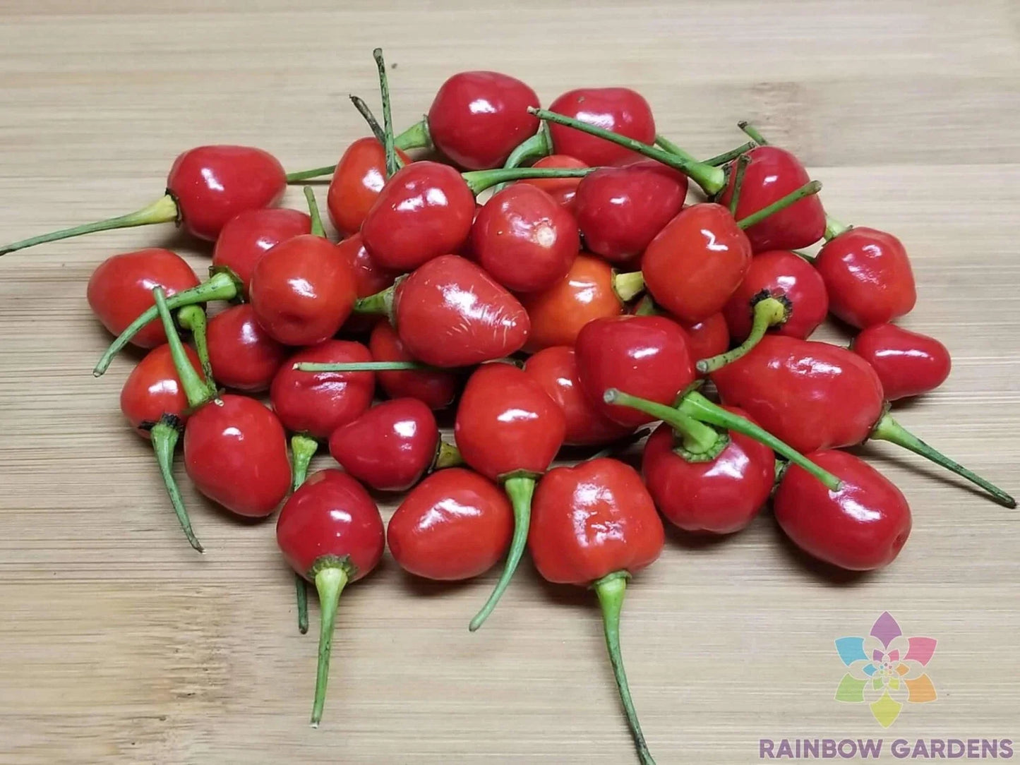 Guyana Wiri Wiri Hot Pepper Seeds – 25+ Non-GMO Capsicum Chinense for Garden Planting, Container, and Home Gardens