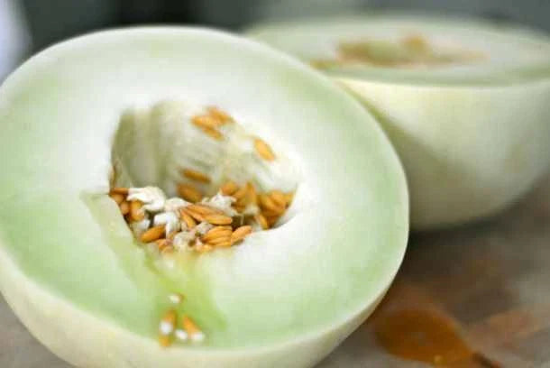 Green Flesh Honeydew Melon Seeds - Cucumis melo, Juicy, Sweet, Home Garden, Non-GMO, 25+ Seeds