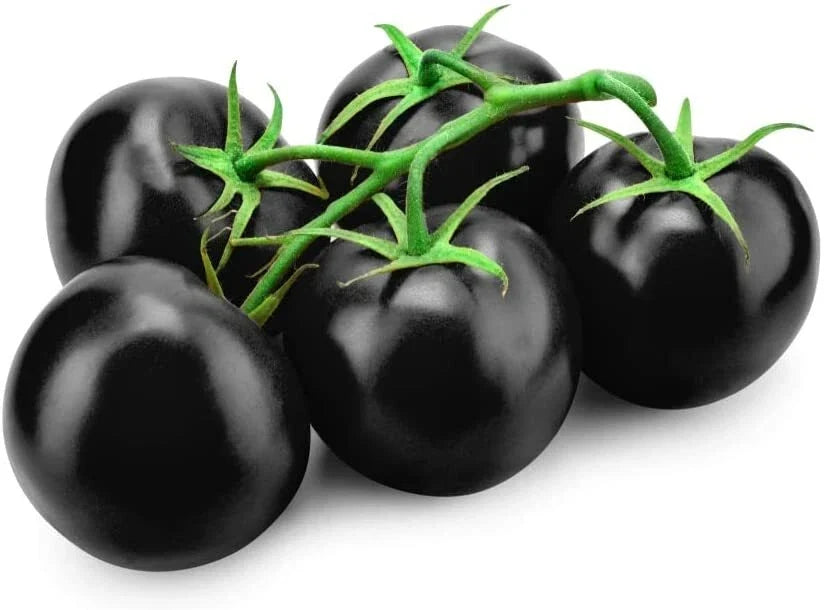 Black Tomato Seeds - 50+ Exotic Solanum lycopersicum for Home Garden & Container Growing