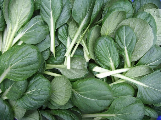 Tatsoi Seeds 300+ Count, Brassica rapa var. rosularis, Leafy Green for Salad & Stir-Fry, Non-GMO, USA