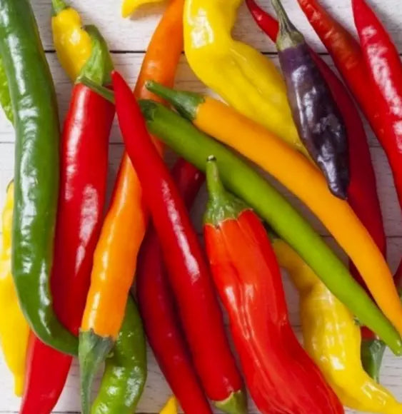 Rainbow Cayenne Pepper Seeds Mix - 30+ Spicy Capsicum annuum Varieties