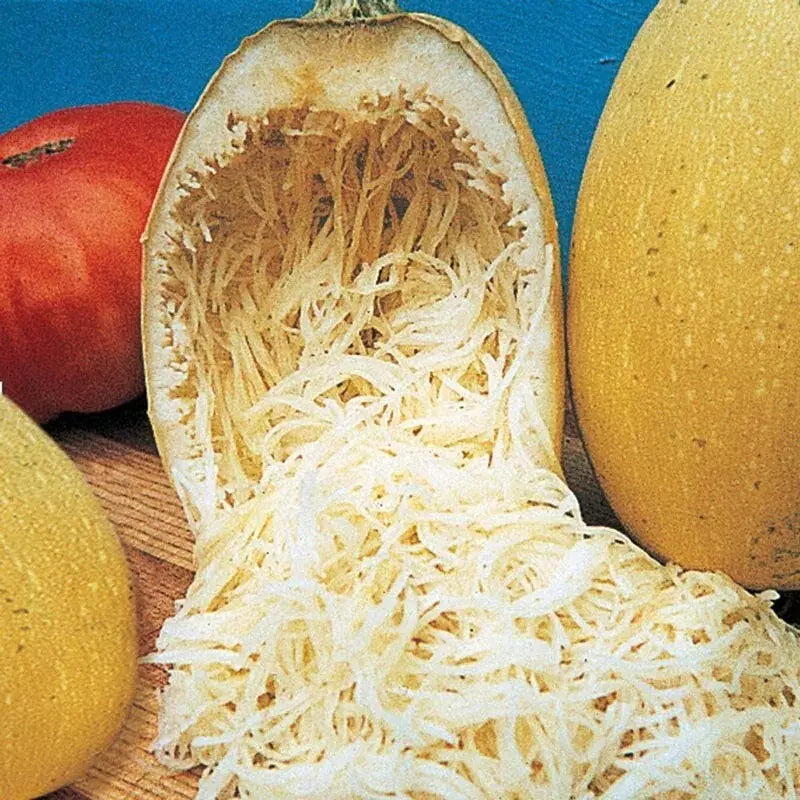 Organic Heirloom Spaghetti Squash Seeds - 25+ Non-GMO Winter Seeds for Home Gardening