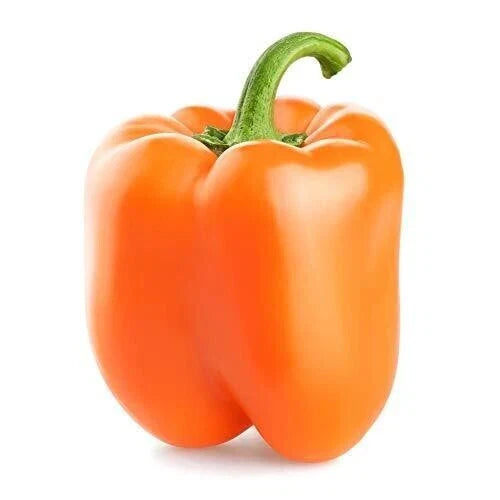 Organic Orange Sun Sweet Bell Pepper Seeds - 30+ Non-GMO Capsicum annuum Seeds for Garden