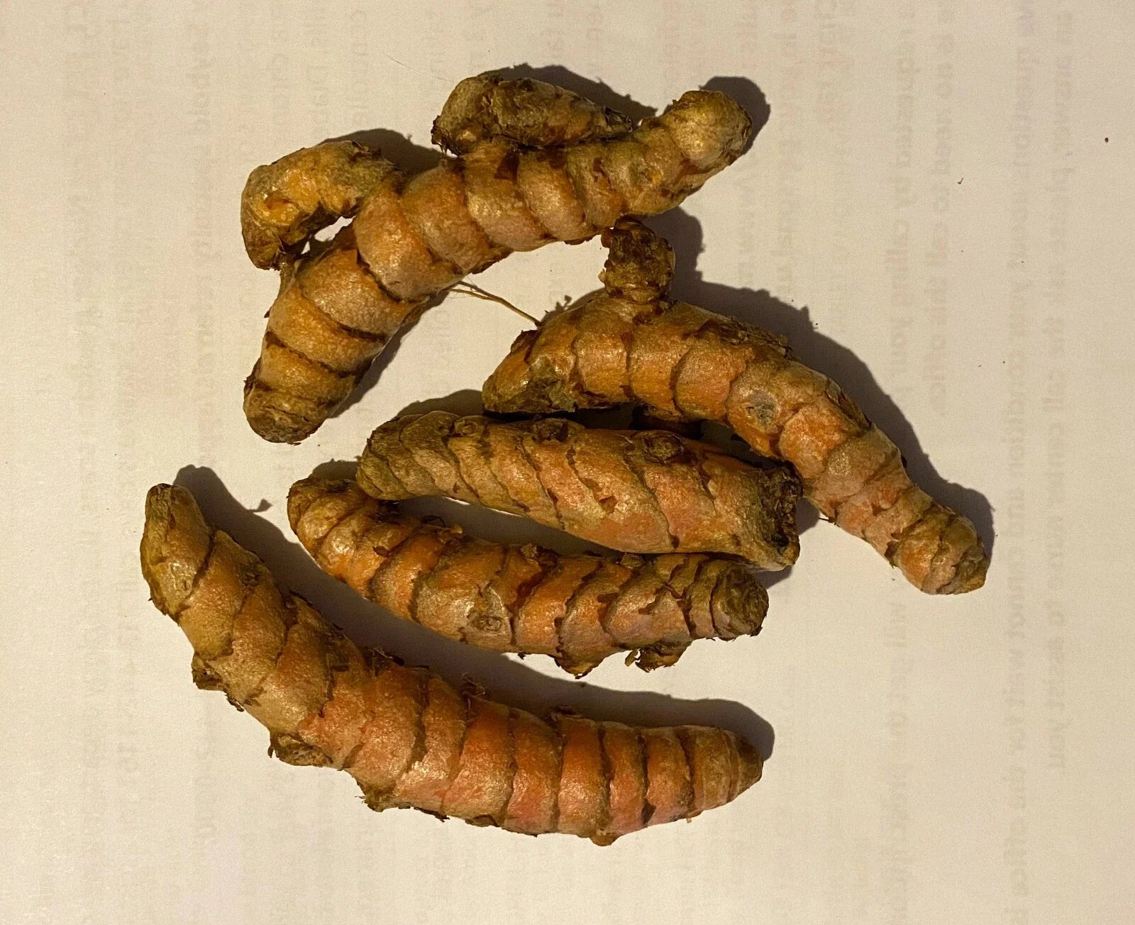 Fresh Organic Turmeric Roots for Planting - Curcuma longa, Culinary & Medicinal Use, 8 Pieces