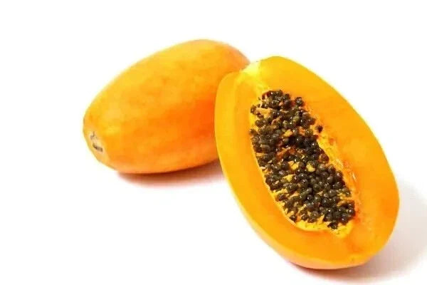 Hawaii Yellow Papaya Seeds - 60 Count - Sweet Carica papaya - 2024 Harvest - USA Grown