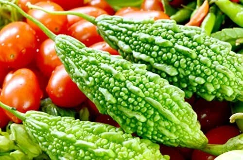 Bitter Gourd Seeds for Planting - Green Variety - Momordica charantia - Climbing Vine, 10 Pack