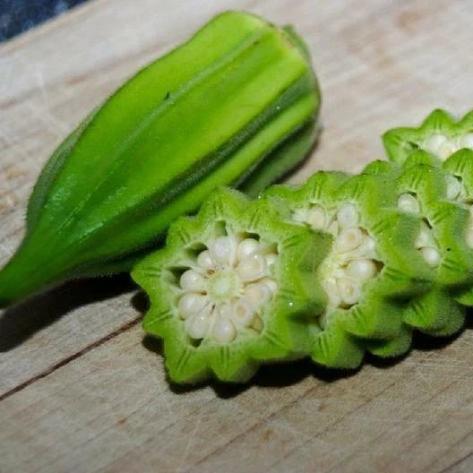 Okra Seeds Pack of 25 - "Star of David" Heirloom Big Okra Vegetable Seeds - Non-GMO, Abelmoschus esculentus, Heirloom, Easy to Grow