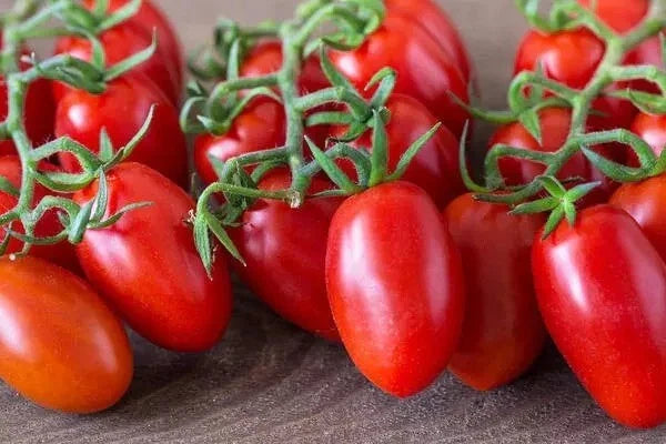 30+ Organic Heirloom Roma Tomato Seeds - Non-GMO Solanum lycopersicum