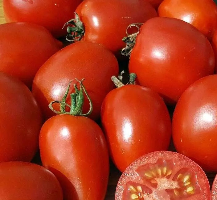 Amish Paste Tomato Seeds – Heirloom Indeterminate Vegetable Seeds for Canning & Cooking – Lycopersicon esculentum