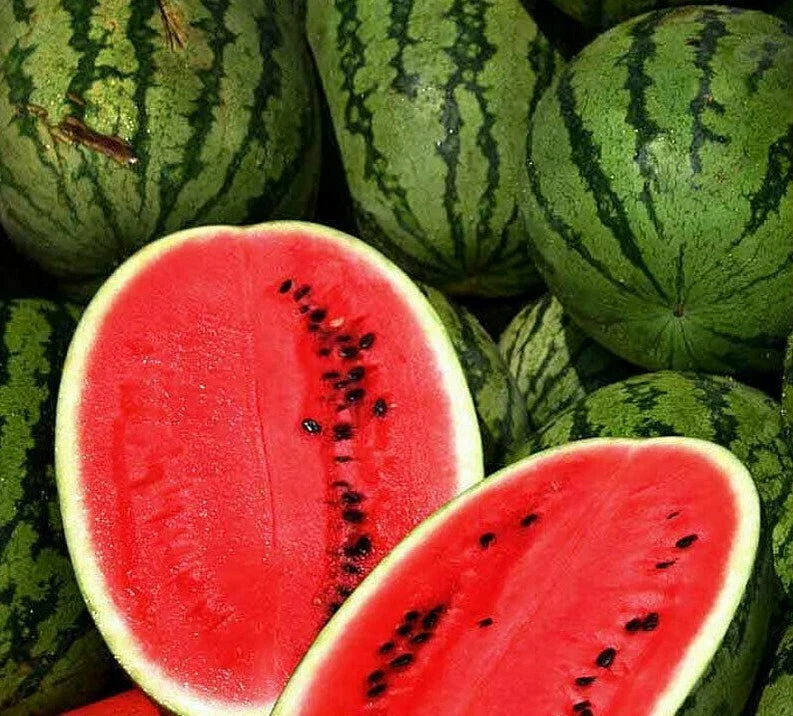 Sweet Watermelon Seeds Pack - Citrullus lanatus, Juicy Fruit, 25+ Seeds for Garden Growth