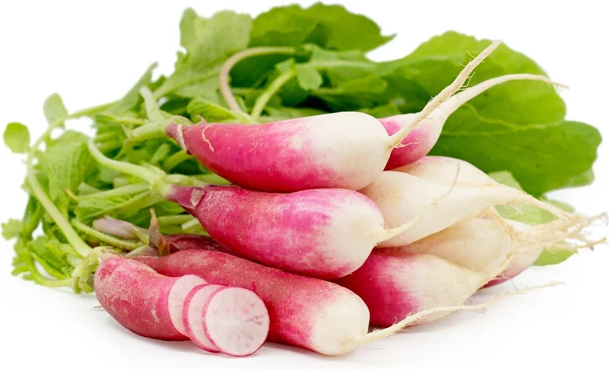 French Breakfast Radish Seeds - Organic Vegetable Seeds for Planting, Raphanus sativus, Fast-Germinating, Non-GMO, Salad Radishes
