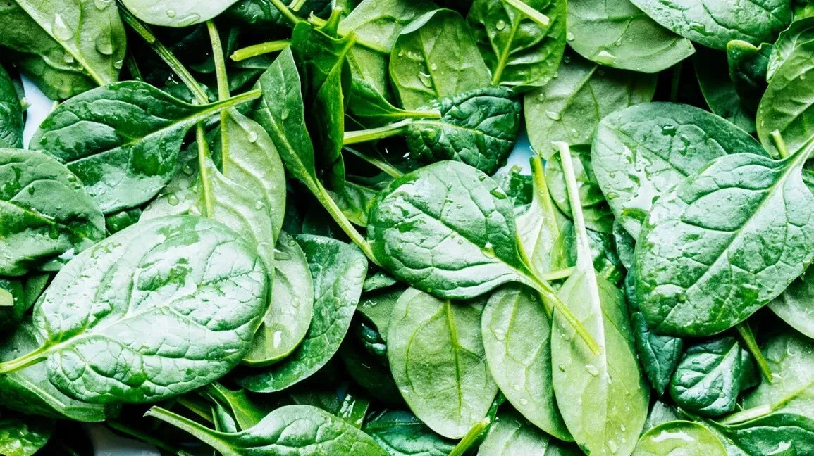 Spinach Seeds - 10 Pack Non-GMO Spinacia oleracea for Indoor & Outdoor Gardening, Fresh Greens, Organic, Fast-Growing