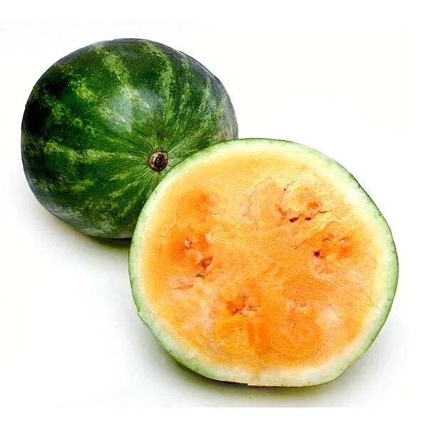 Tendersweet Orange Watermelon Seeds – Citrullus lanatus – Juicy, Large, Sweet Fruit – 20+ Seeds for Home Garden & Farming