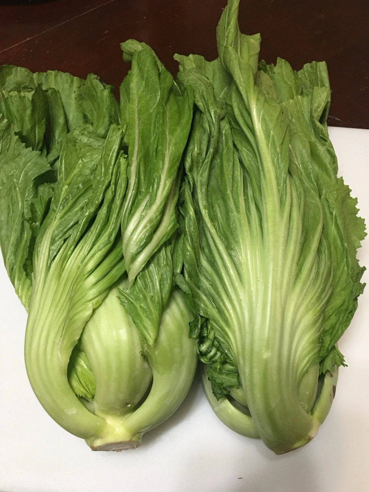 Chinese Mustard Seeds - Brassica juncea - Shuidong Gai Choi, Leafy Green, Culinary Herb, 200+ Seeds for Salads & Stir-Fries