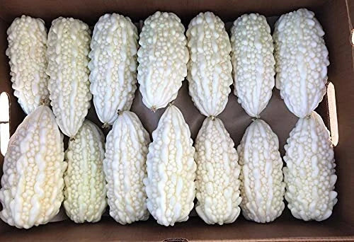 Exotic White Bitter Gourd Seeds - 10 Pack, Momordica charantia, Rare Variety for Planting, Climbing Vine