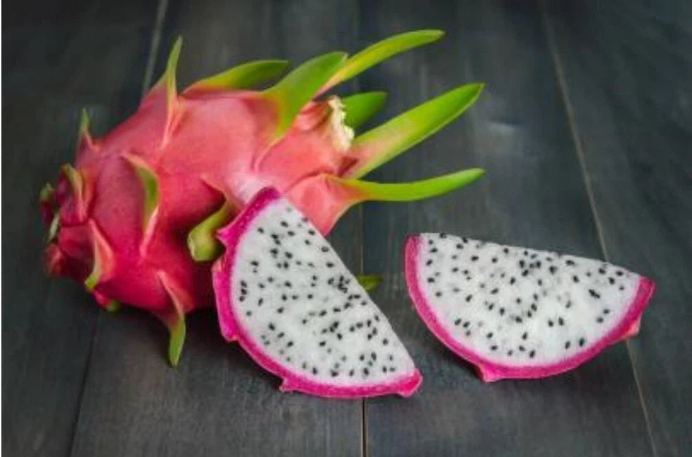 White Dragon Fruit Seeds - Hylocereus Undatus, Pitaya, Cactus, Tropical Fruit Seeds, Home Gardening, 50+