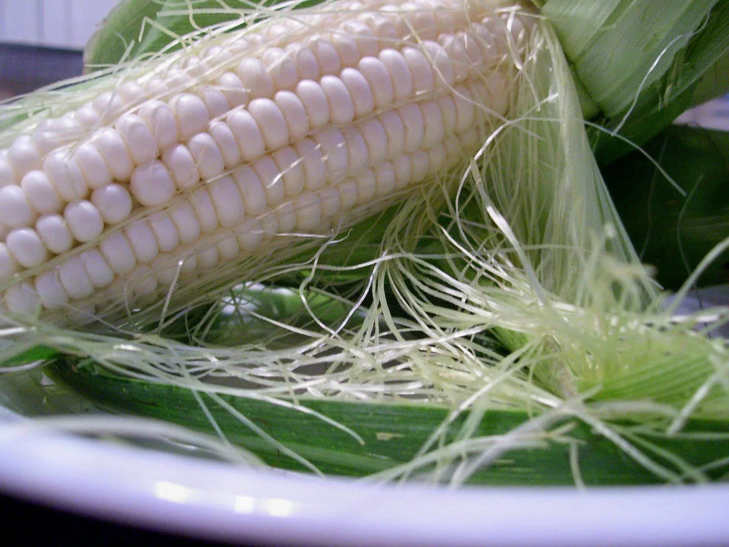 Silver Queen Sweet Corn Seeds - White Sweet Corn F1 Hybrid Non-GMO
