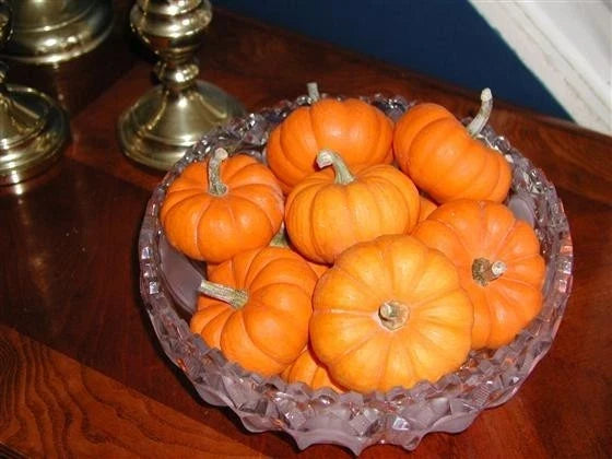 Jack Be Little Pumpkin Seeds - Miniature Fall Decor, Kids' Delight, Cucurbita pepo, Compact Vines, 20 Seeds