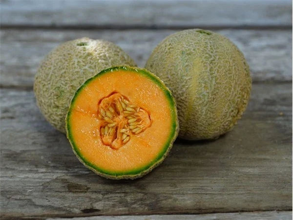 Cantaloupe Seeds - Honey Rock Variety - Organic Cucumis melo for Home Gardening, Juicy Melons, Full Sun, Pack of 25 Seeds