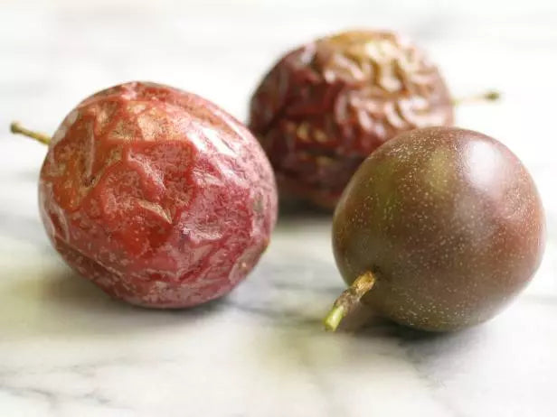 Purple Passionfruit Live Plant 5" Starter Passiflora Edulis Pesticide-Free Climbing Vine for Garden or Patio