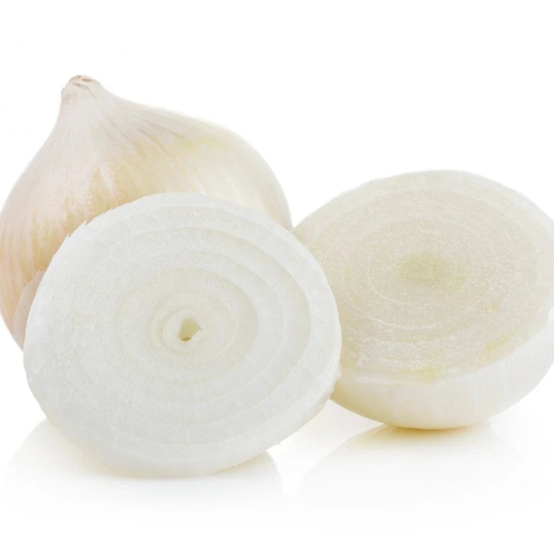 White Sweet Spanish Onion Seeds - 200+ Count Heirloom Allium cepa for Home Gardening